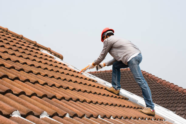Best Commercial Roofing Services  in Seyur, MO